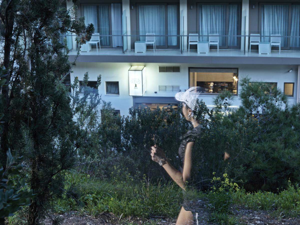 Acropolis Hill Hotel Athene